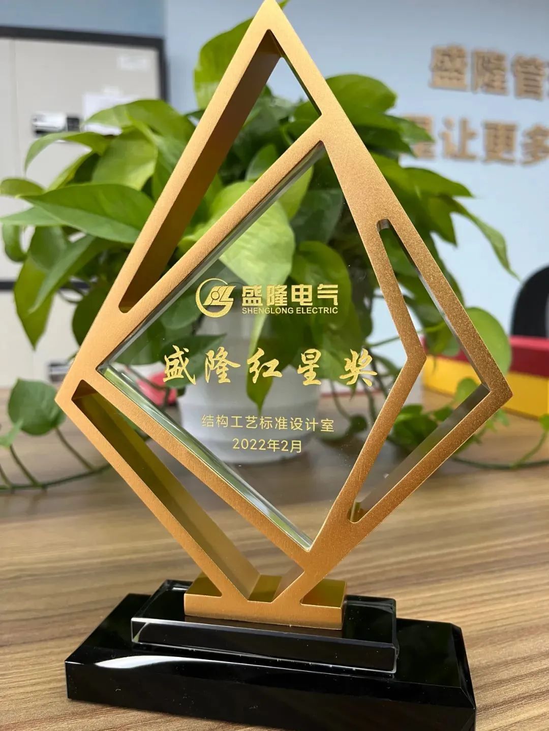 1684981224911981.jpg 640 (3).jpg